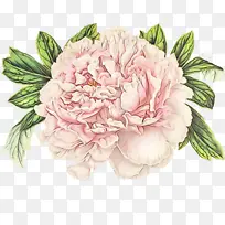 水彩 颜料 湿墨-空若网 水彩 颜料 湿墨-空若网