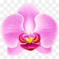 ˮ�� ���� ʪī-������