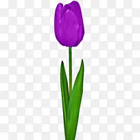 花 绿色 花瓣-空若网 花 绿色 花瓣-空若网