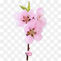 ˮ�ʻ� ���� ʪī-������