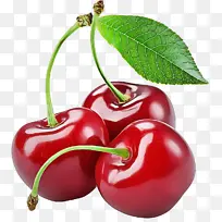 樱桃 水果 植物-空若网 樱桃 水果 植物-空若网