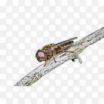 ˮ�� ���� ʪīˮ-������