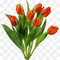 ˮ�ʻ� ���� ʪī-������