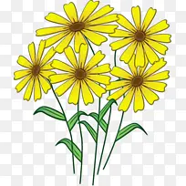 ˮ�ʻ� ���� ʪī-������