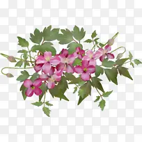 水彩 颜料 湿墨-空若网 水彩 颜料 湿墨-空若网