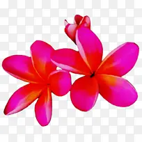 水彩画 颜料 湿墨-空若网 水彩画 颜料 湿墨-空若网