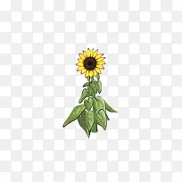 水彩 油漆 湿墨-空若网 水彩 油漆 湿墨-空若网