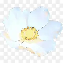 �������� ���� ��ɫ-������