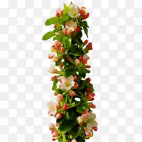 水彩画 油漆 湿墨-空若网 水彩画 油漆 湿墨-空若网