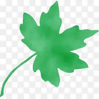 木本植物 湿植物 枫叶-空若网 木本植物 湿植物 枫叶-空若网