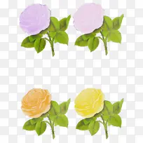 ˮ�ʻ� ���� ʪī-������