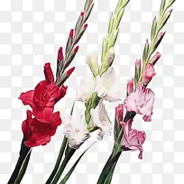 水彩 油漆 湿墨-空若网 水彩 油漆 湿墨-空若网