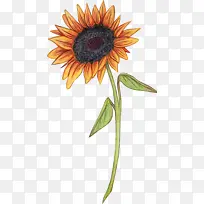 水彩画 颜料 湿墨-空若网 水彩画 颜料 湿墨-空若网