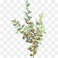 卡通 植物 花-空若网 卡通 植物 花-空若网