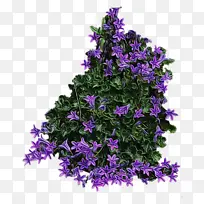 ˮ�ʻ� ���� ʪī-������