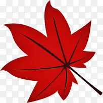 叶子 红色 树-空若网 叶子 红色 树-空若网
