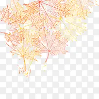 Ò¶×Ó Ê÷Ö¦ Ê÷-¿ÕÈôÍø Ò¶×Ó Ê÷Ö¦ Ê÷-¿ÕÈôÍø