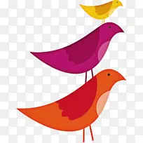 鸟 橙色 喙-空若网 鸟 橙色 喙-空若网