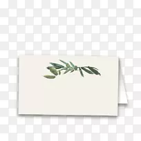 纸长方形绿叶-空若网 纸长方形绿叶-空若网