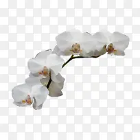 水彩 颜料 湿墨-空若网 水彩 颜料 湿墨-空若网