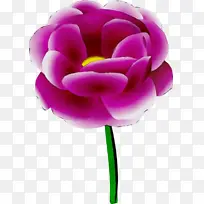 水彩 颜料 湿墨-空若网 水彩 颜料 湿墨-空若网