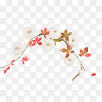 ��ɫ ��֦ ����-������