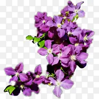 ˮ�ʻ� ���� ʪī-������