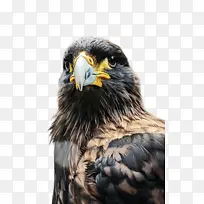 Ó¥ Ë®²Ê»-¿ÕÈôÍø Ó¥ Ë®²Ê»-¿ÕÈôÍø