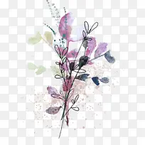 花 植物 枝条-空若网 花 植物 枝条-空若网