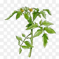 ˮ�ʻ� ���� ʪī-������