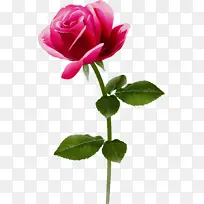 Ë®²Ê» ÑÕÁÏ ÊªÄ«-¿ÕÈôÍø Ë®²Ê» ÑÕÁÏ ÊªÄ«-¿ÕÈôÍø