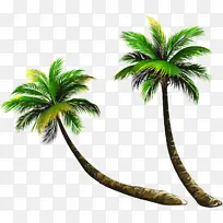 采购产品树 棕榈树 槟榔-空若网 采购产品树 棕榈树 槟榔-空若网