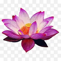 ˮ�� ���� ʪī-������