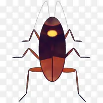 昆虫 蟑螂 害虫-空若网 昆虫 蟑螂 害虫-空若网