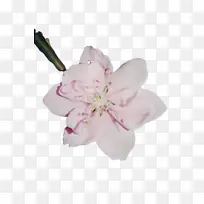 水彩 油漆 湿墨-空若网 水彩 油漆 湿墨-空若网