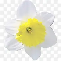 水彩 颜料 湿墨-空若网 水彩 颜料 湿墨-空若网