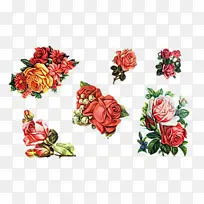 ˮ�� ���� ʪī-������