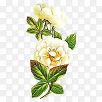 水彩 油漆 湿墨-空若网 水彩 油漆 湿墨-空若网