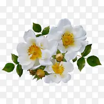 水彩画 颜料 湿墨-空若网 水彩画 颜料 湿墨-空若网