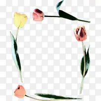 �������� ���� ����-������