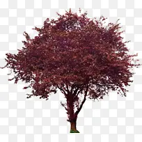 水彩 油漆 湿墨-空若网 水彩 油漆 湿墨-空若网