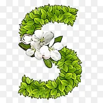 叶子 花 植物-空若网 叶子 花 植物-空若网