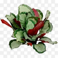 水彩 油漆 湿墨-空若网 水彩 油漆 湿墨-空若网