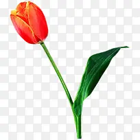 水彩画 颜料 湿墨-空若网 水彩画 颜料 湿墨-空若网