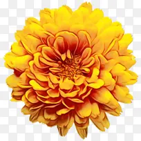 水彩画 颜料 湿墨-空若网 水彩画 颜料 湿墨-空若网