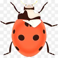 卡通 昆虫 甲虫-空若网 卡通 昆虫 甲虫-空若网
