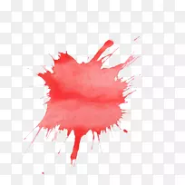 ��ɫˮ�ʻ�.�罦-������