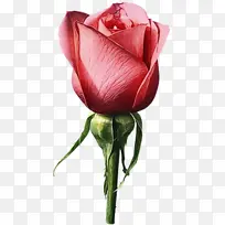 水彩 油漆 湿墨-空若网 水彩 油漆 湿墨-空若网