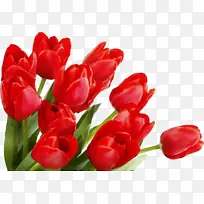 水彩 油漆 湿墨-空若网 水彩 油漆 湿墨-空若网