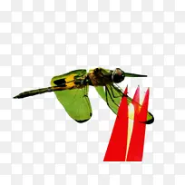 ˮ�ʻ� ���� ʪīˮ-������